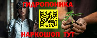 гашик Ипатово